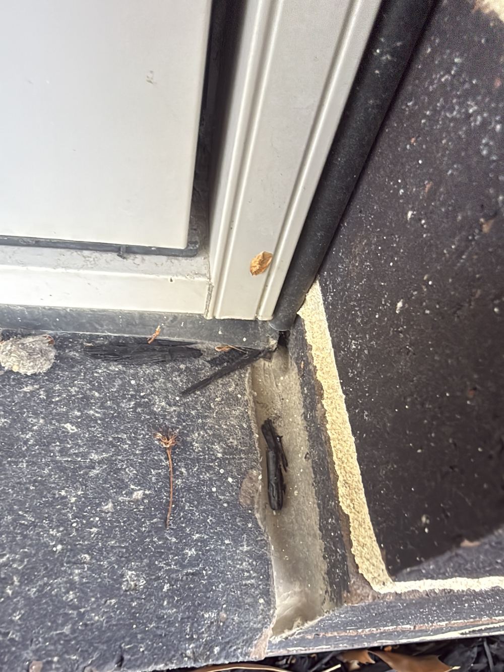Small gaps at the brick seals where moisture can work into the wall, found during a building and pest inspection in Officer