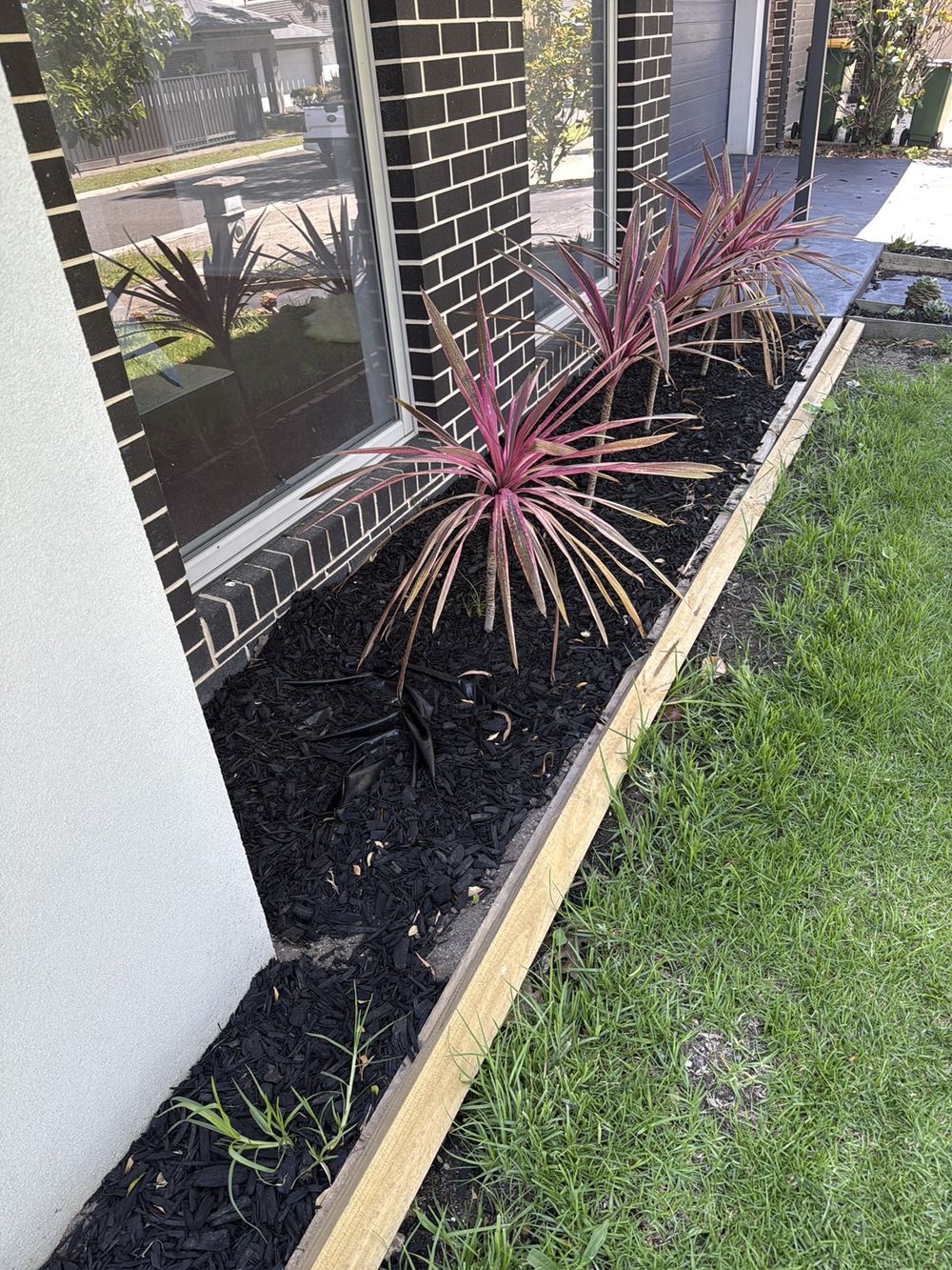 Garden beds holding moisture hard against the building line, found during a building and pest inspection in Officer