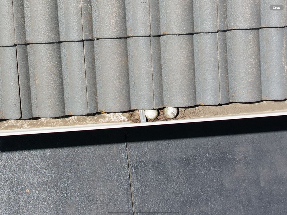 Gutters and downpipes clogged with leaves, risking overflow into the eaves, found during a building and pest inspection in Officer