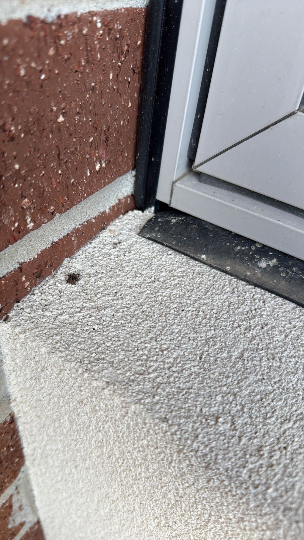 Gaps between window frames and brick sills open to wind-driven rain, found during a pre-purchase inspection in Officer